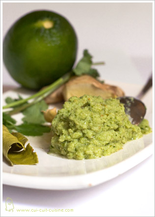 pate_curry_vert